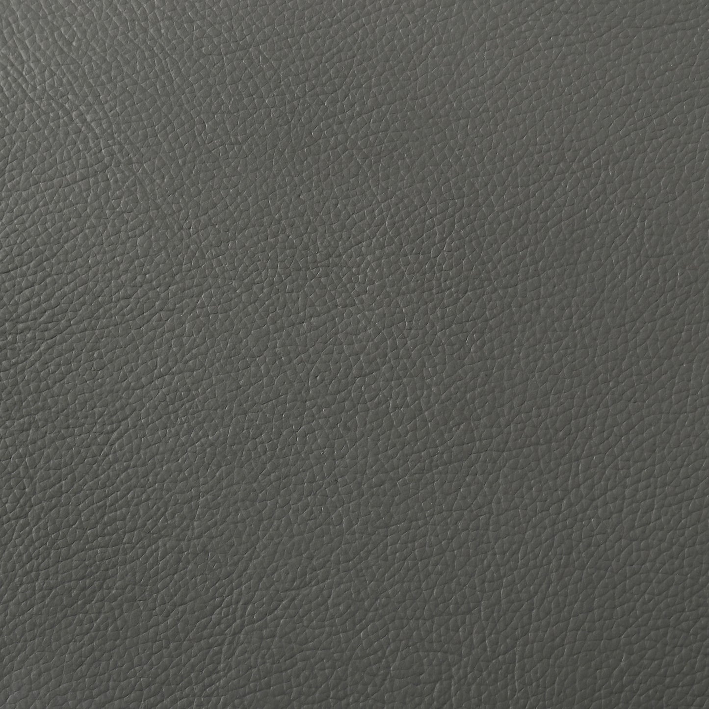 Buxton Top Grain Leather Upholstered Loveseat Graphite