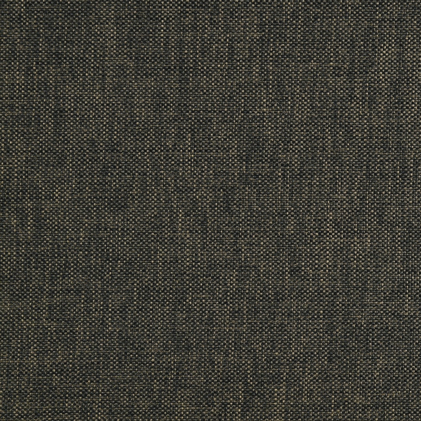 Boyd Upholstered Twin Panel Bed Charcoal