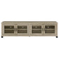 Sachin Rectangular TV Console with Glass Doors