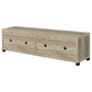 Sachin Rectangular TV Console with Glass Doors